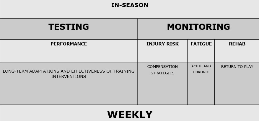 Example of how plantar pressure mapping measurements can be planned during the regular season.