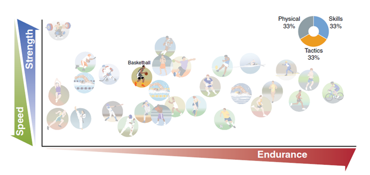 Figure 1. The position of the basketball player on the three axes illustrates the relative importance of the three main physical capacities of importance for elite participation in basketball (from Laursen and Buchheit "Science and Application of High-Intensity Interval Training, adapted from G.A. Nader, "Concurrent Strength and Endurance Training: From Molecules to Men", Medicine & Science in Sports & Exercise 38, no. 11 (2006): 1965-1970).