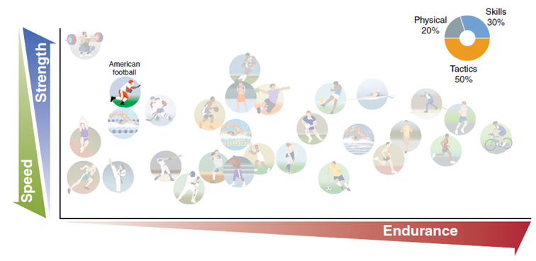 Figure 2. The position of the American football player on the three axes illustrates the relative importance of the three main physical capacities for elite participation in the sport (from Laursen and Buchheit, "Science and Application of High-Intensity Interval Training, adapted from G.A. Nader, "Concurrent Strength and Endurance Training: From Molecules to Men", Medicine & Science in Sports & Exercise 38, no. 11 (2006): 1965-1970).